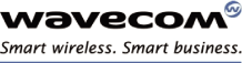 (WAVECOM LOGO)